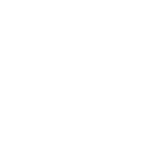 Network Icon