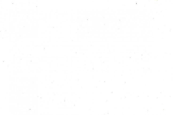 BSE Logo